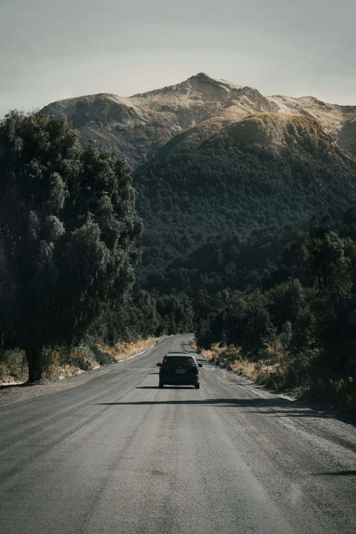 Car driving on a scenic, forest-lined road for Toyota and Lexus accessories